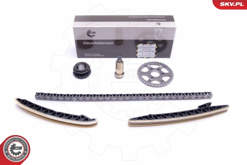 Timing Chain Kit